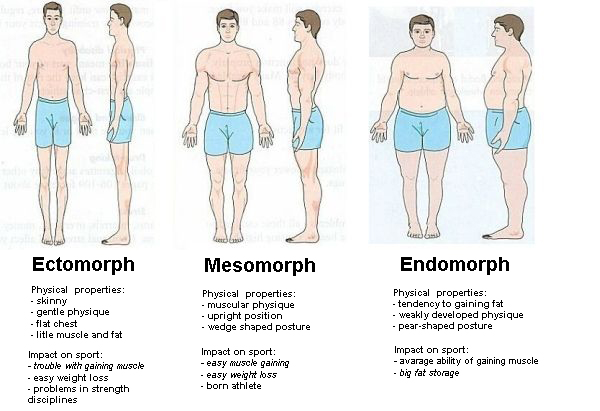 somatotype