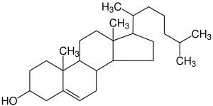 cholesterol